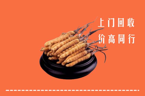 高价求购：应县回收散虫草