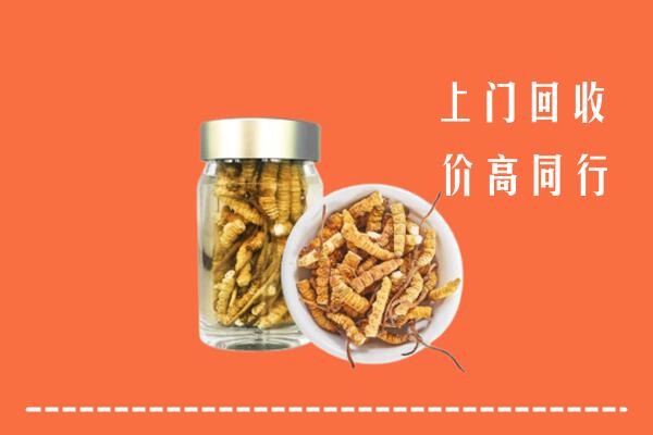 应县回收冬虫夏草