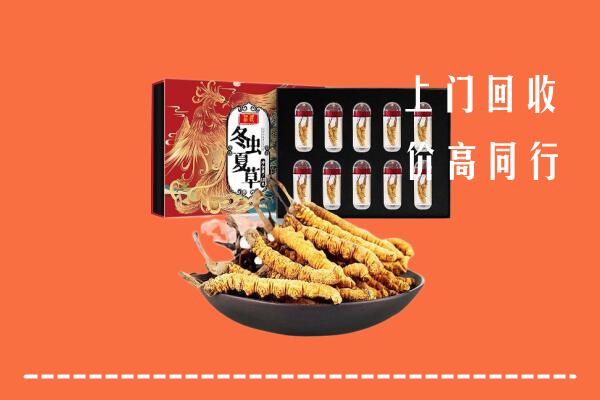 应县回收虫草